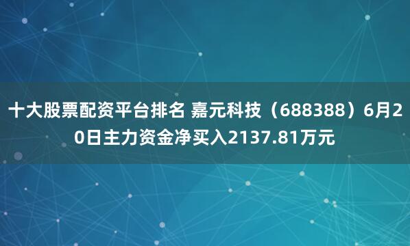十大股票配资平台排名 嘉元科技（688388）6月20日主力资金净买入2137.81万元